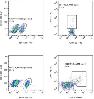 Decreased Absolute Number of Circulating Regulatory T Cells in Patients With Takayasu’s Arteritis